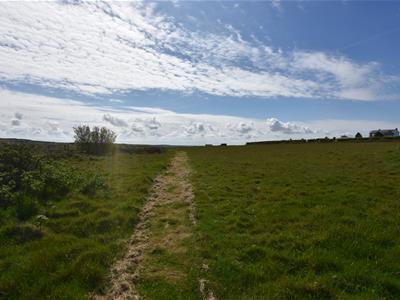 Picture 62